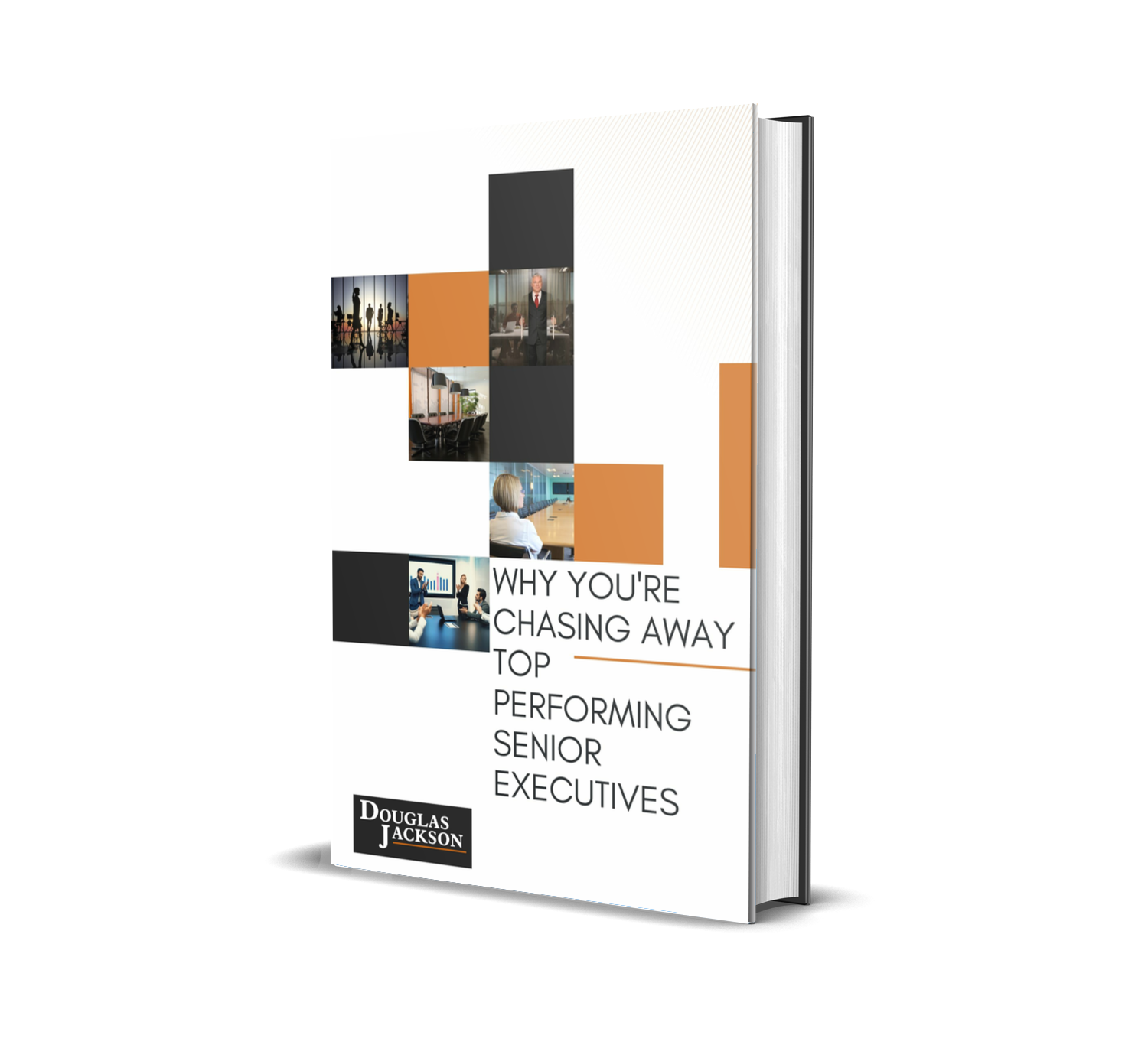 Why you are chasing away book cover report