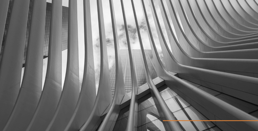 Chief Customer Officer Recruitment