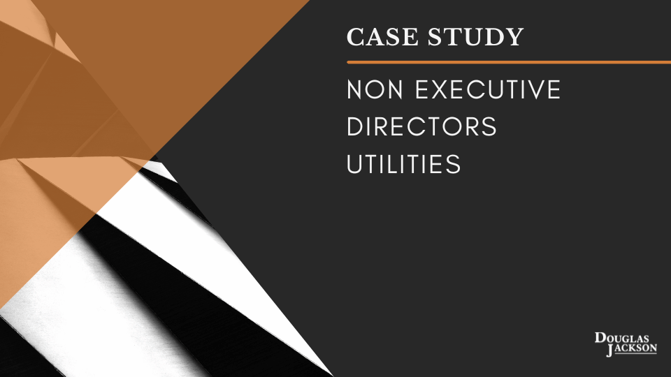 Non Executive Director Recruitment Case Study